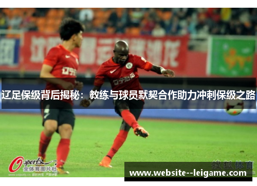 辽足保级背后揭秘：教练与球员默契合作助力冲刺保级之路