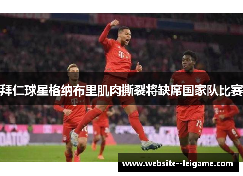 拜仁球星格纳布里肌肉撕裂将缺席国家队比赛